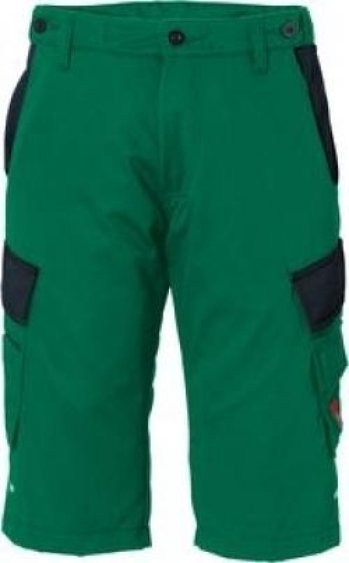 Gr.54 ROFA-Shorts, Teamwork, ca. 295 g/m², grü