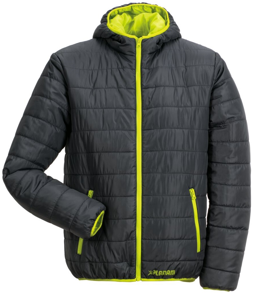 PLANAM-Kälteschutz, Winter-Wetter-Arbeits-Berufs-Jacke, Lizard, Outdoor, marine/grün