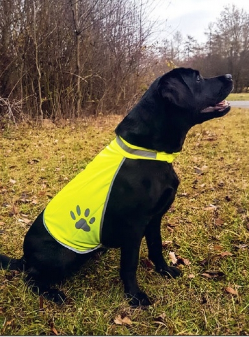 KORNTEX-Warnschutz, Hunde-Warn-Weste, gelb