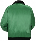 PLANAM-Kälteschutz, Gletscher Comfort, Winter-Arbeits-Berufs-Jacke, grün
