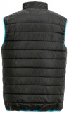 PLANAM-Kälteschutz, Winter-Arbeits-Berufs-Weste,  Lizard, Outdoor, schwarz/blau